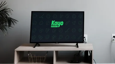 Kayo Troubleshooting for Login and Streaming Issues