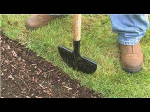 Top Features to Look for in a High-Quality Push Edger